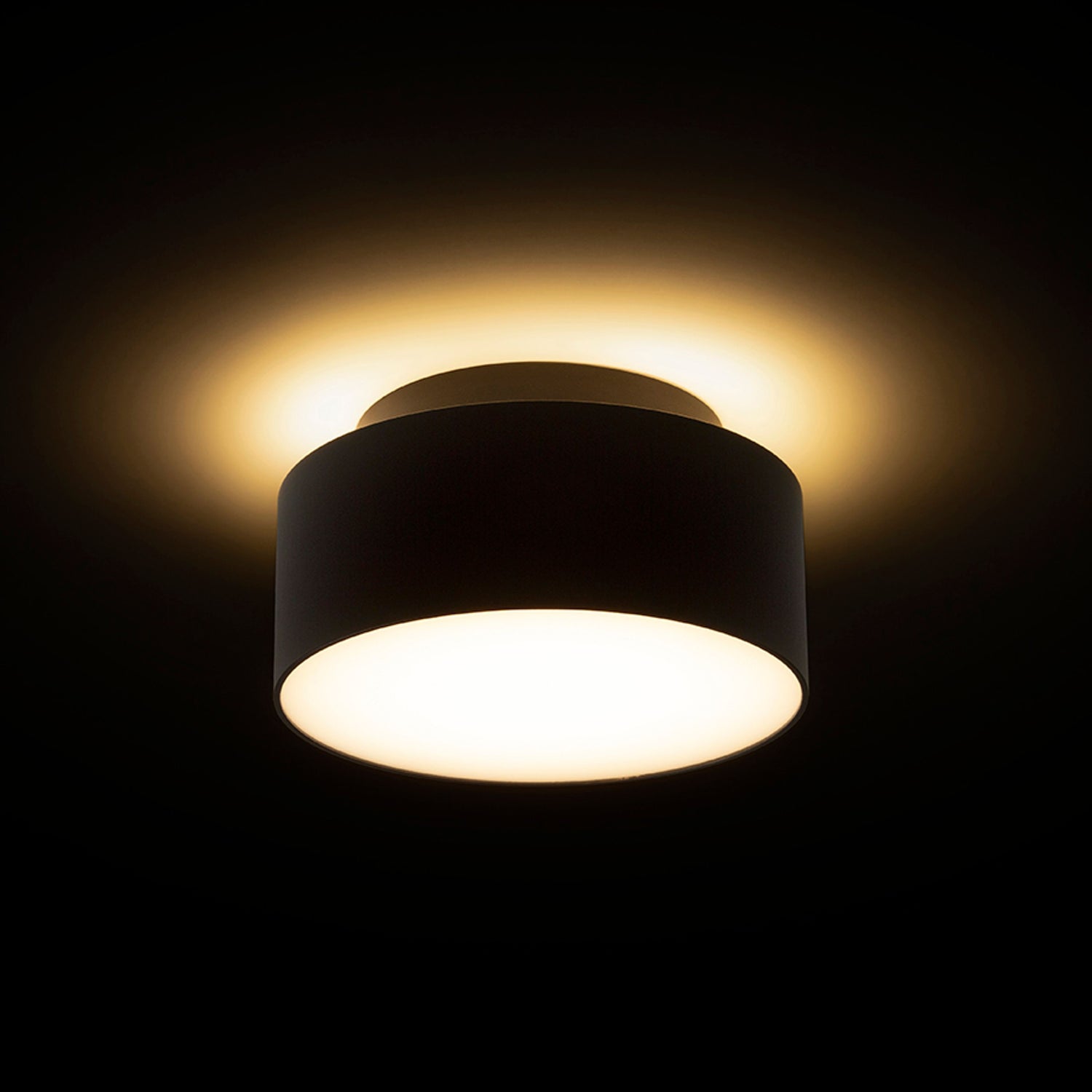 downlight