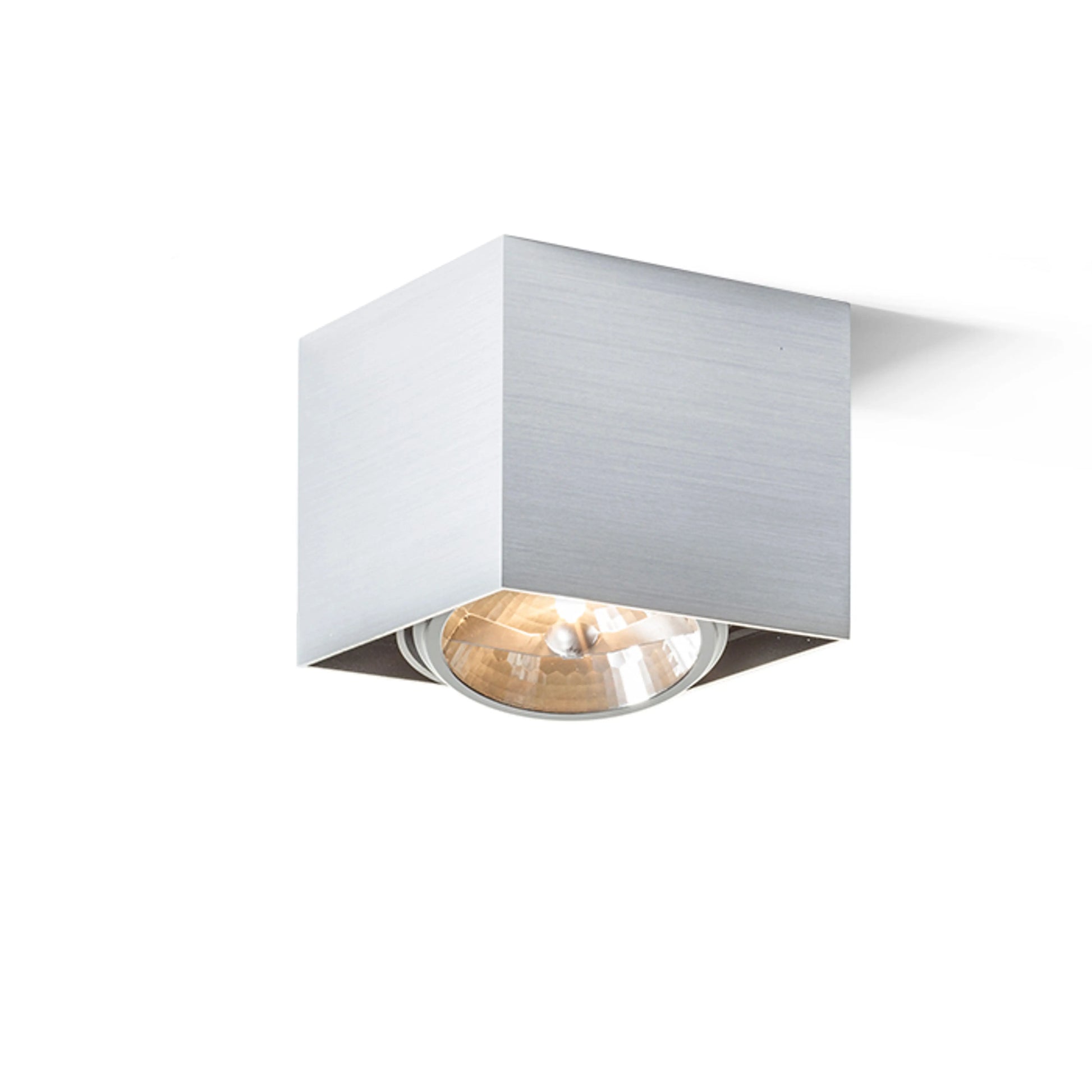 RENDL surface mounted lamp DEAN I   brushed aluminum 230V/12V G53 50W R10610 1