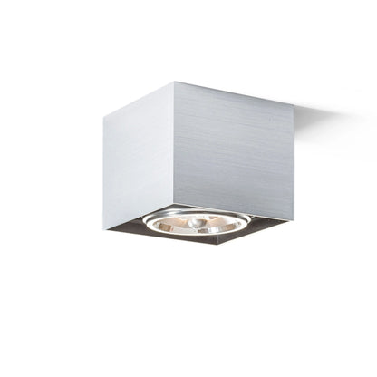 RENDL surface mounted lamp DEAN I   brushed aluminum 230V/12V G53 50W R10610 2