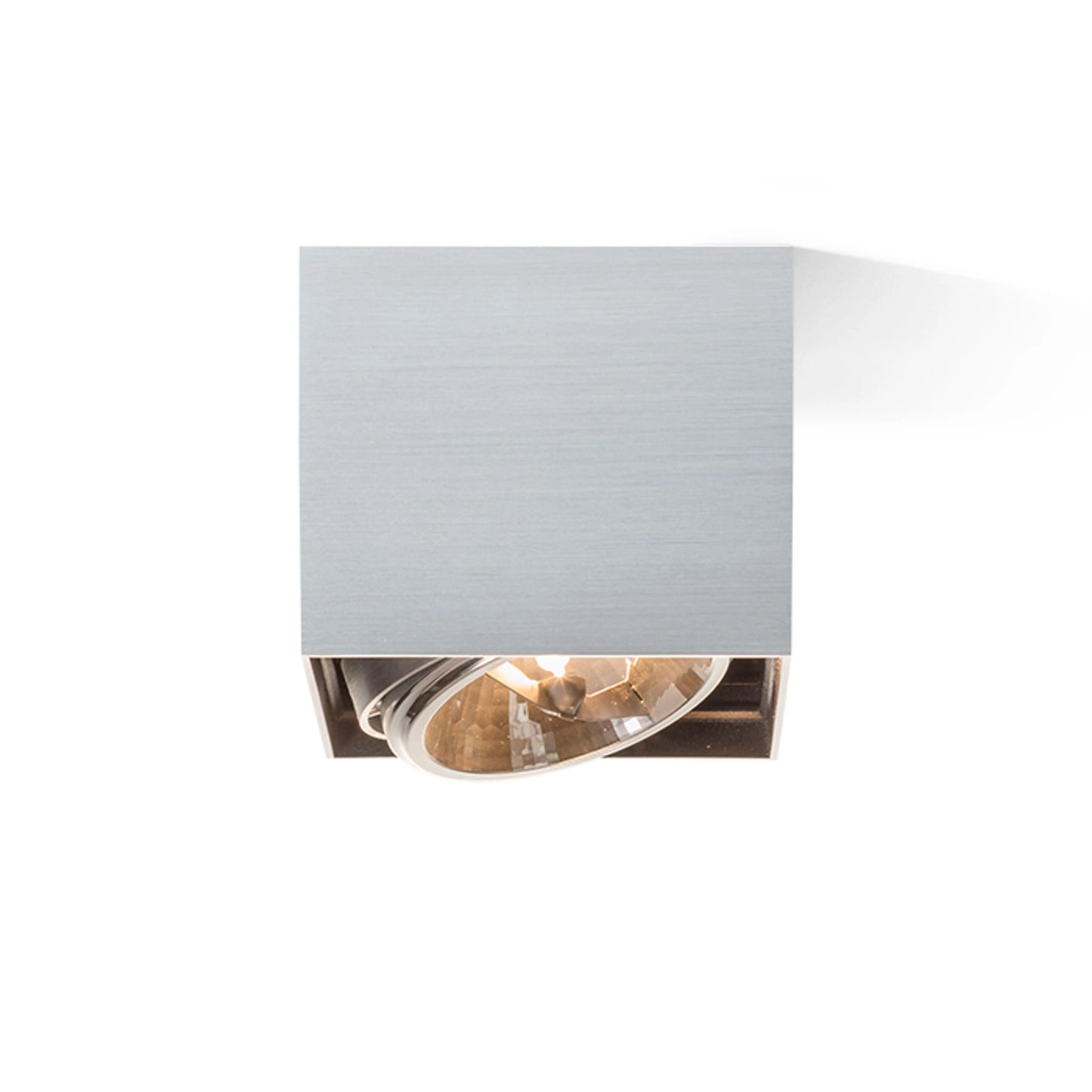 RENDL surface mounted lamp DEAN I   brushed aluminum 230V/12V G53 50W R10610 3