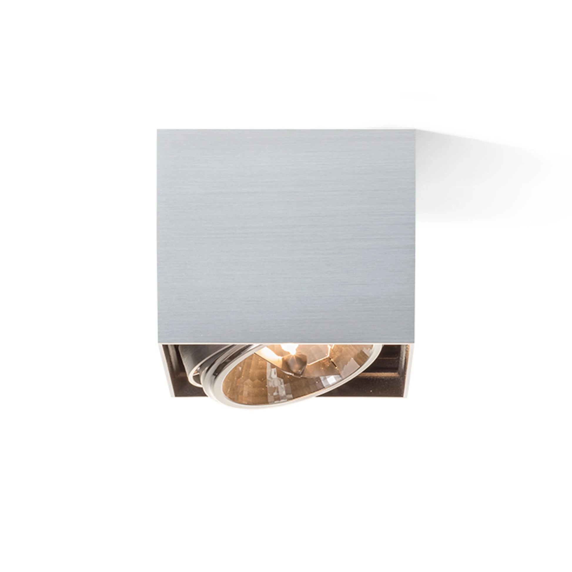 RENDL surface mounted lamp DEAN I   brushed aluminum 230V/12V G53 50W R10610 3