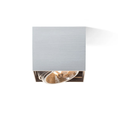 RENDL surface mounted lamp DEAN I   brushed aluminum 230V/12V G53 50W R10610 3