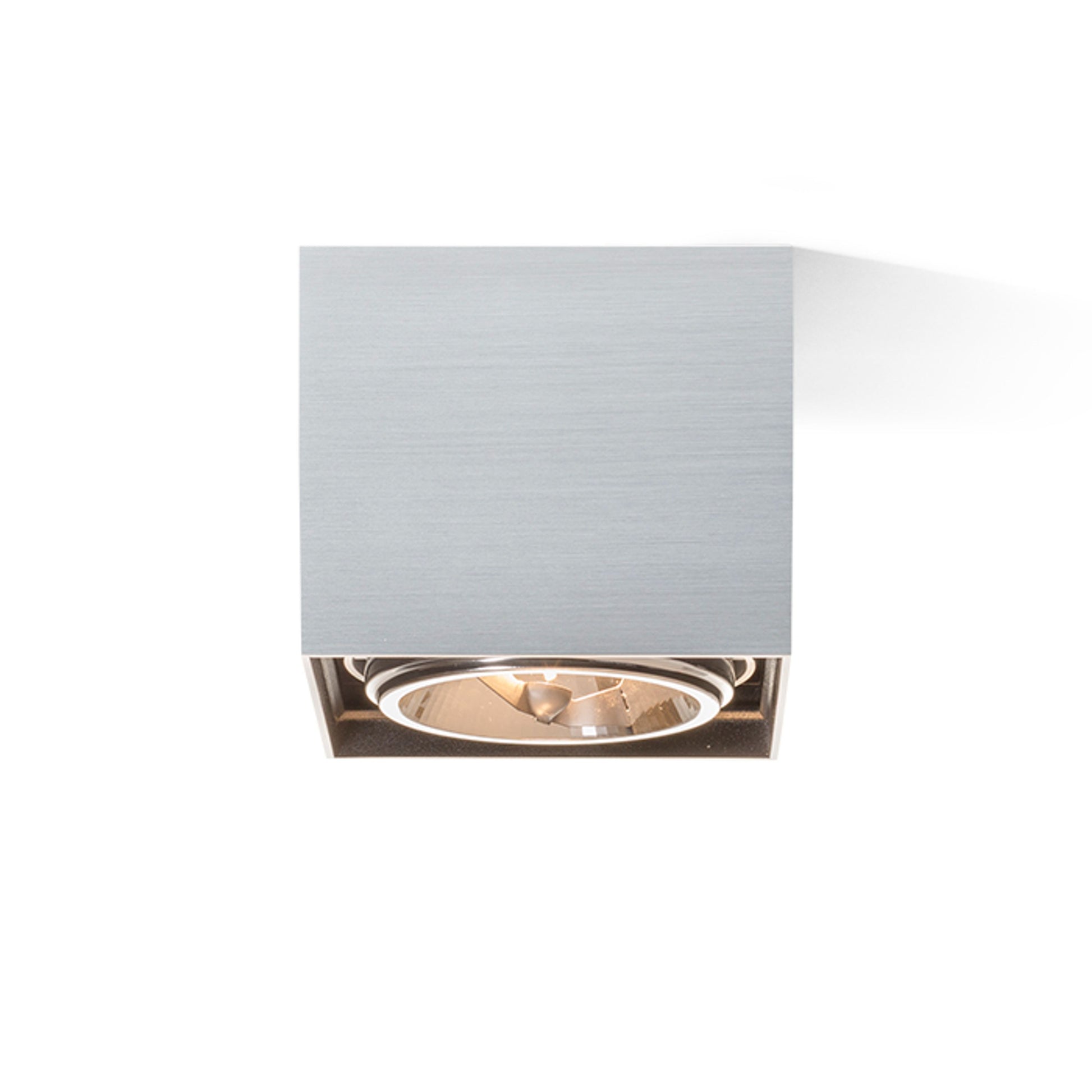 RENDL surface mounted lamp DEAN I   brushed aluminum 230V/12V G53 50W R10610 4