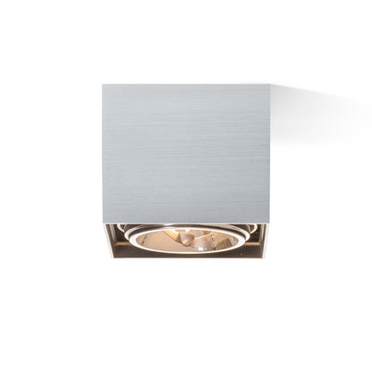 RENDL surface mounted lamp DEAN I   brushed aluminum 230V/12V G53 50W R10610 4