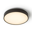 MENSA R 40 CEILING