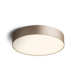 LARISA R 30 CEILING
