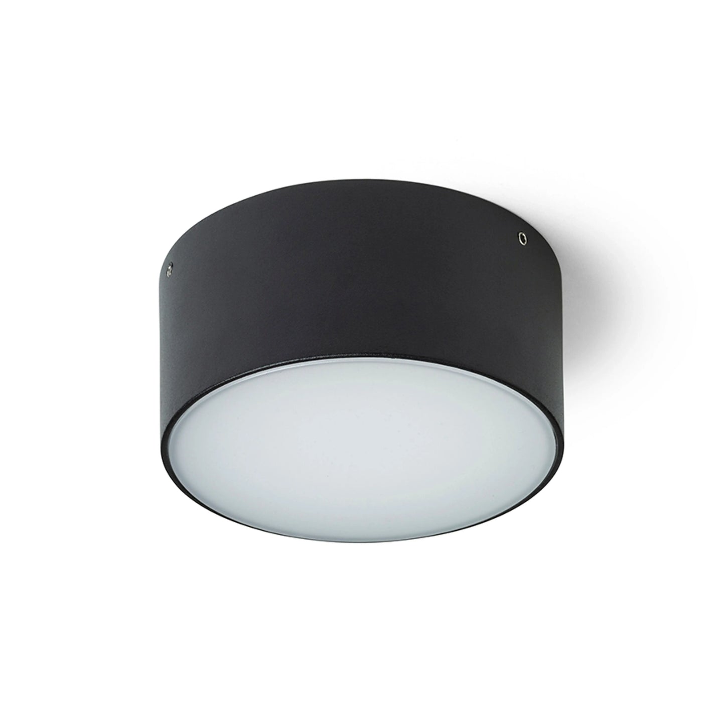RENDL outdoor lamp LARISA OUT 12 surface mounted black  230V LED 10W IP65  3000K 4000K 5700K R14124 2